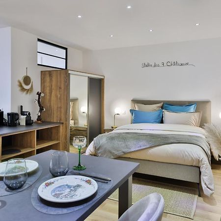 Studio Des 3 Chateaux Husseren-les-Châteaux Eksteriør bilde