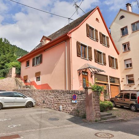 Studio Des 3 Chateaux Husseren-les-Châteaux Eksteriør bilde